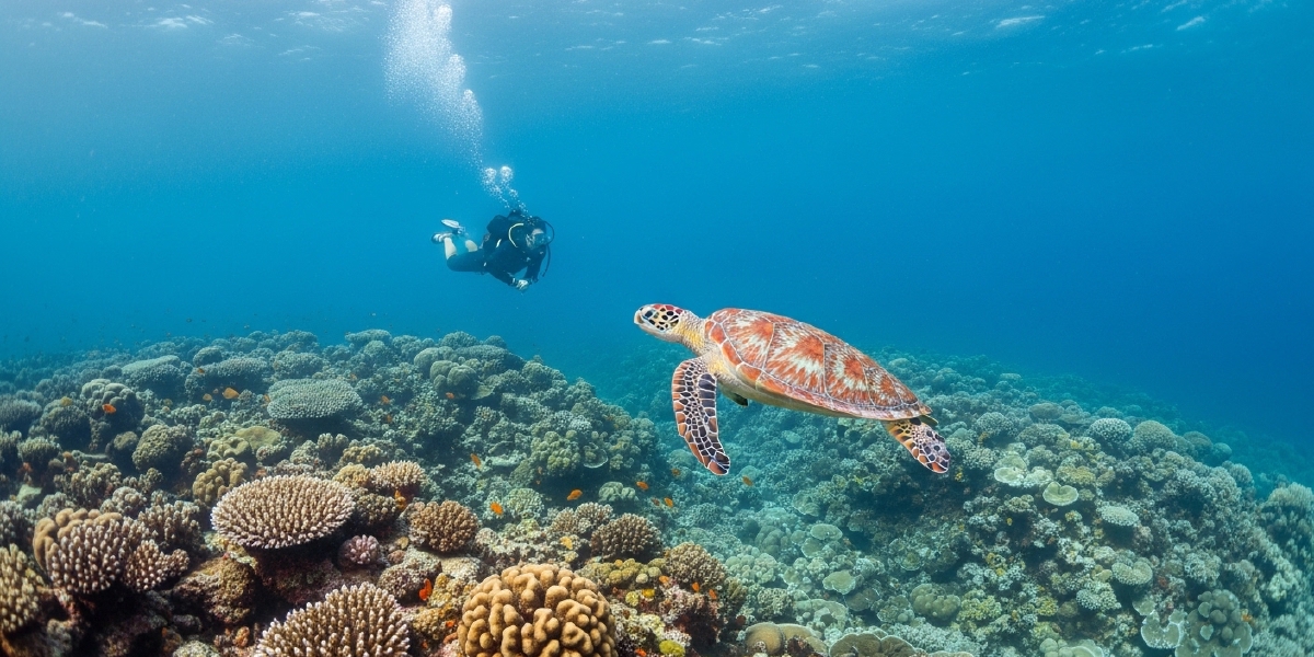 Alor Island: Remote Diving Haven