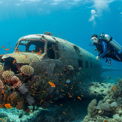 Morotai Island’s Untouched Shores